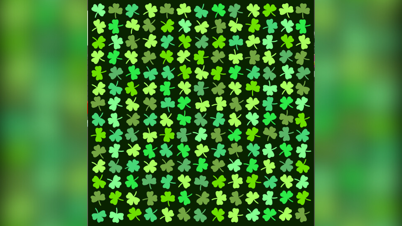 Optical illusionns (4)