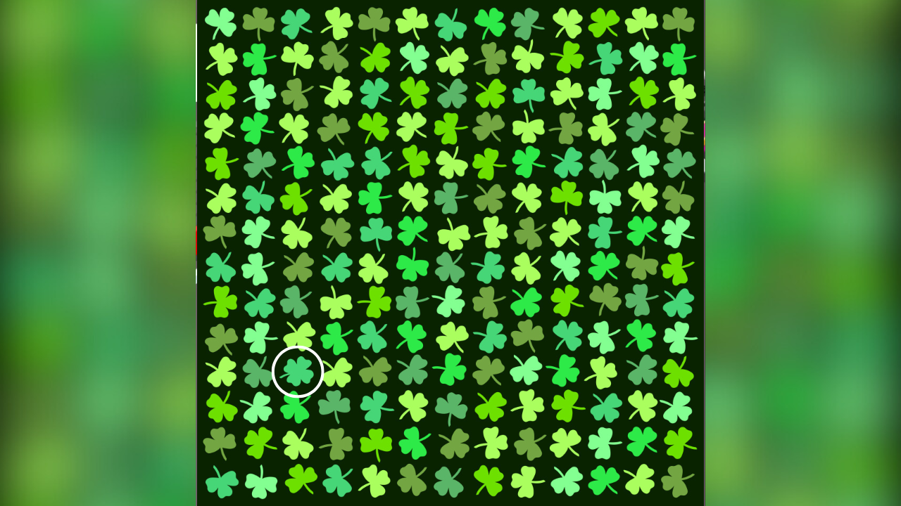 Optical illusionns (3)