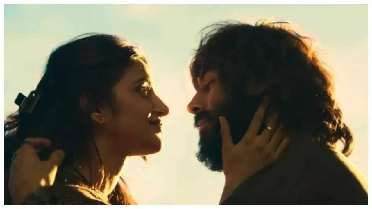 Netizens SLAM dating rumours of Kartik and Sreeleela