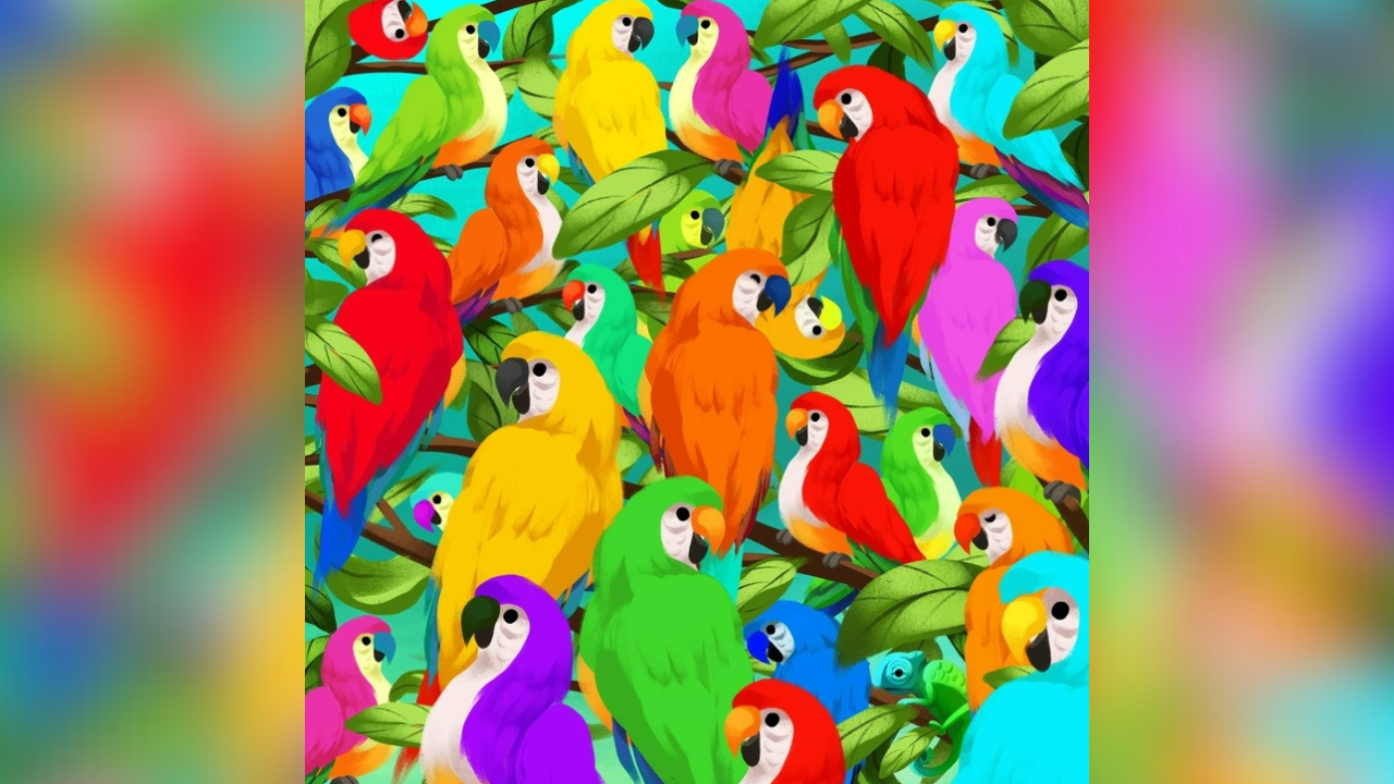 Optical illusion: Only a person who loves animals can spot the Chameleon hiding among the birds in 7 seconds