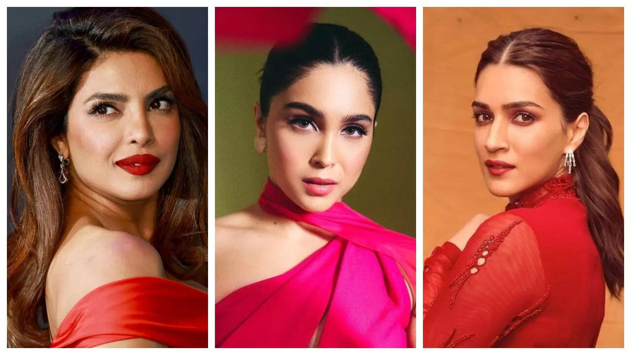 PC, Kriti or Sharvari- Who will star in Don 3?