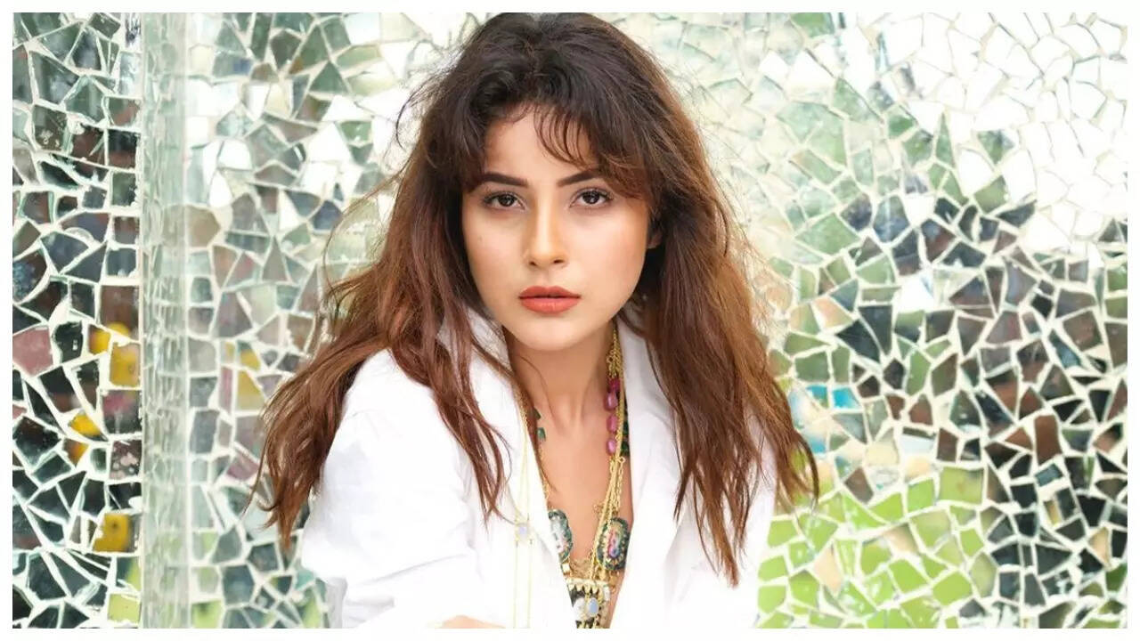 Fans SLAM Shehnaaz for her 'You can't afford me' remark