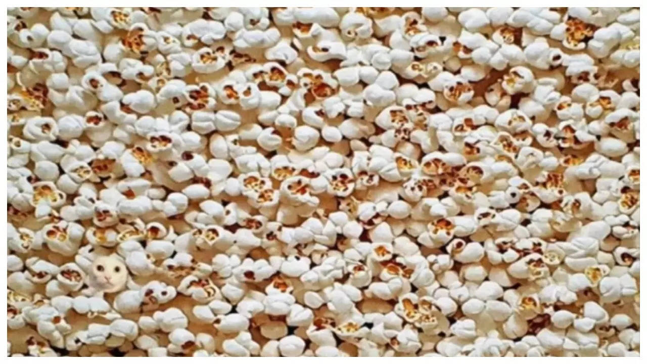 Optical illusion: Only those with a sharp vision can find the cat hiding in the popcorn in just 10 seconds