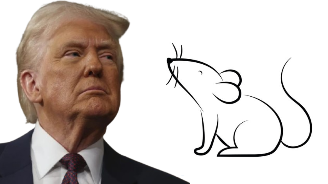 ‘$8 million for transgender mice’? Trump was right