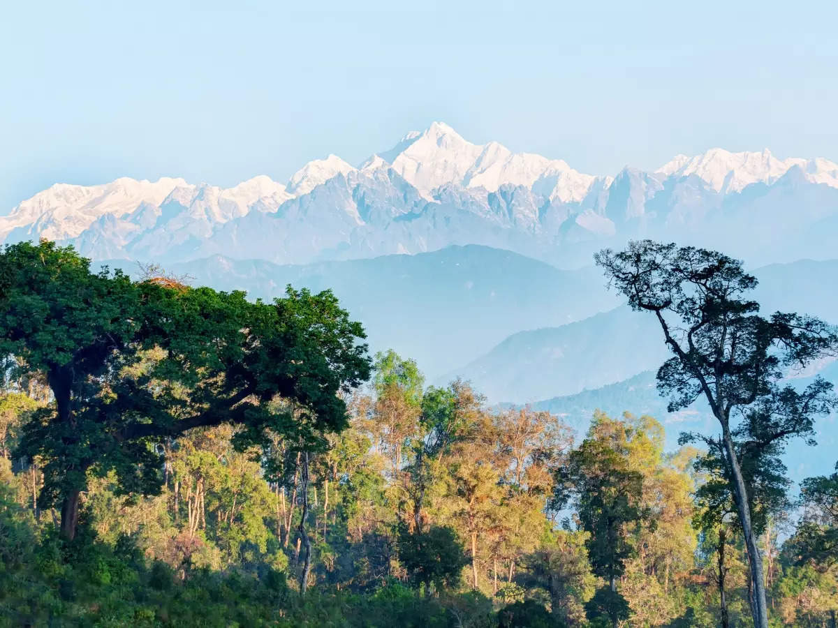 A quick guide to India’s most scenic biosphere reserves