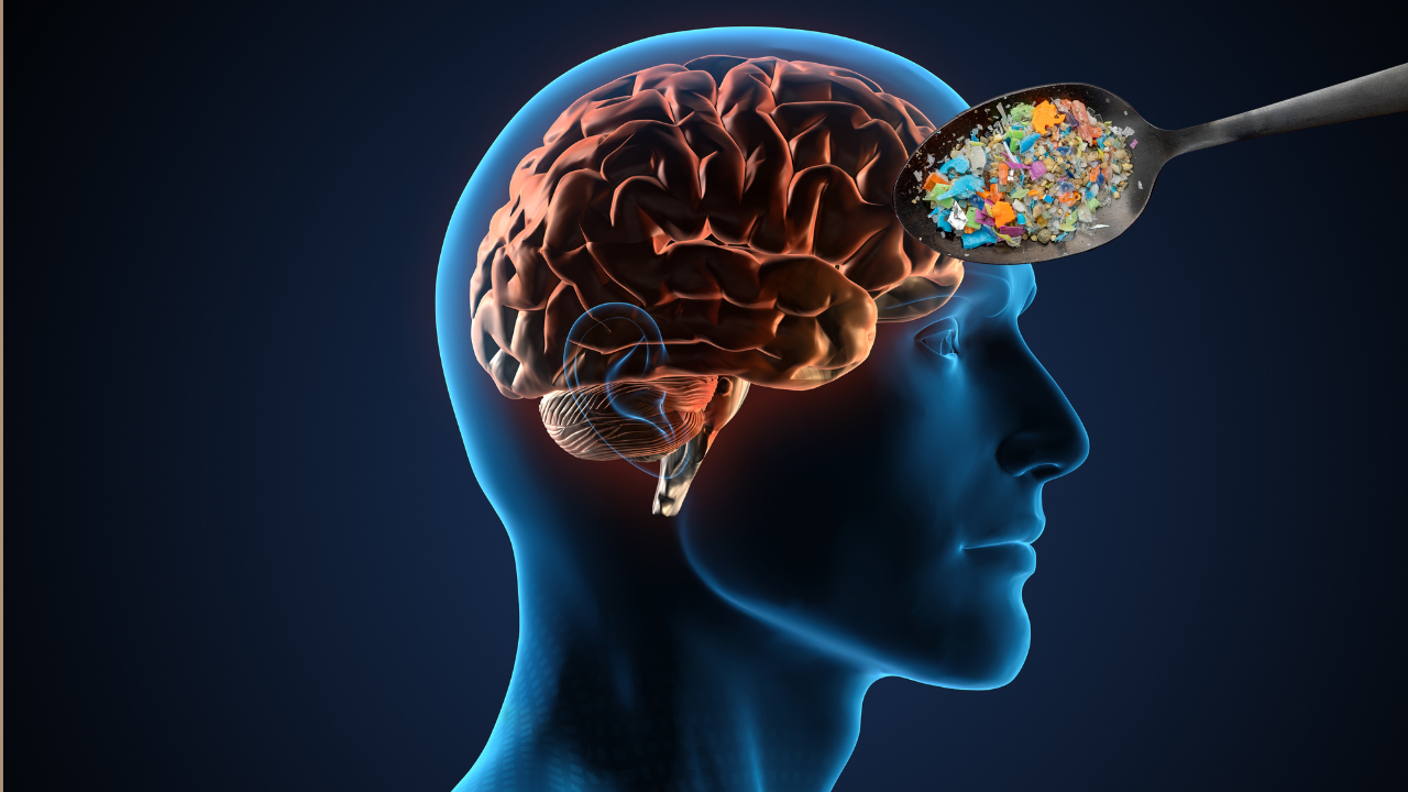 Do you really have a spoonful of microplastics in your brain?