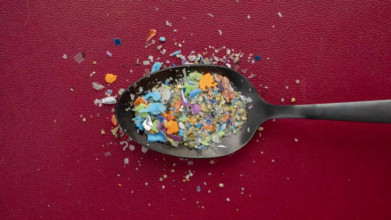 microplastics 2