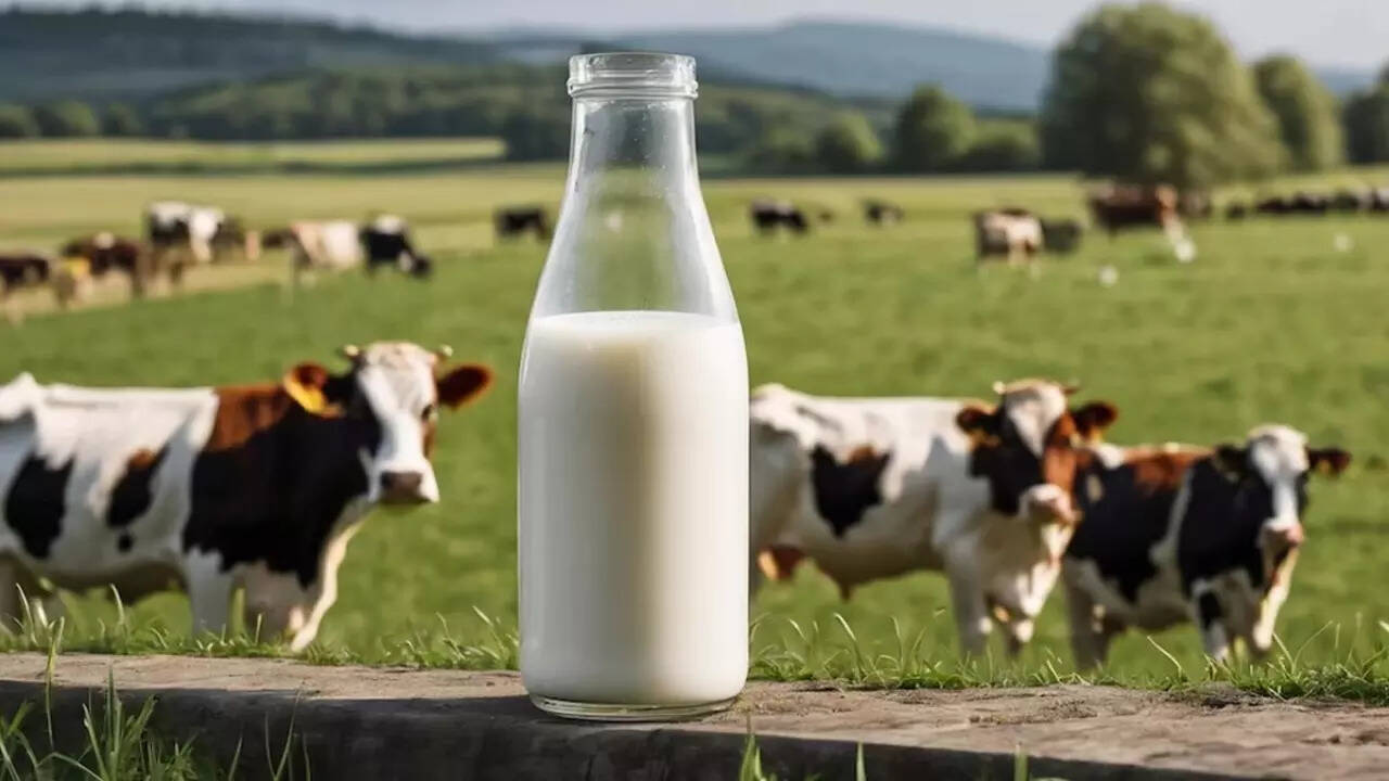 Raw milk (4)