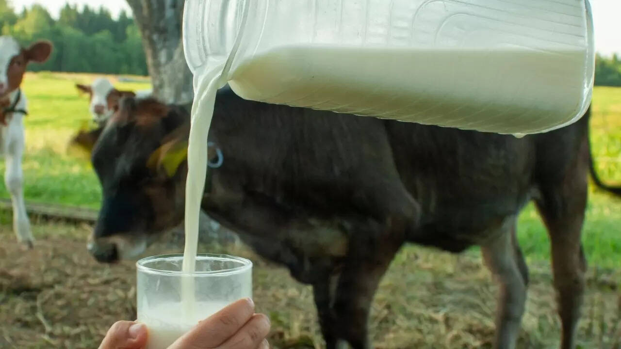 Raw milk (5)