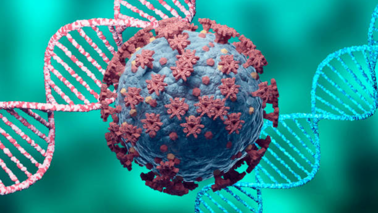 Is human coronavirus more dangerous than COVID-causing coronavirus?