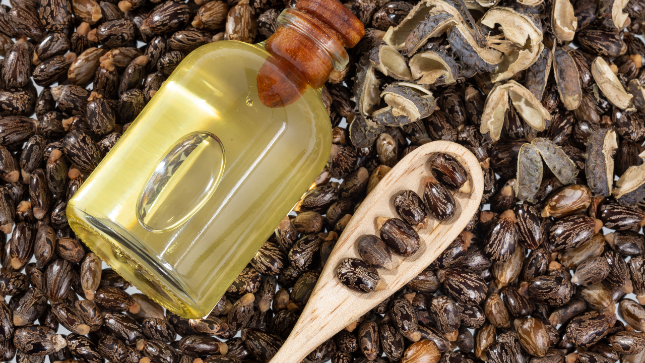 Castor Oil Benefits: 6 reasons to use castor oil every day