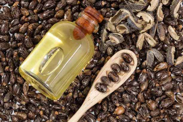 Is it safe to eat castor oil?