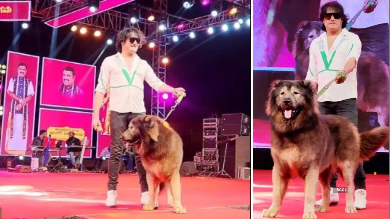 Indian man buys world's most expensive pet dog worth Rs 50 Cr