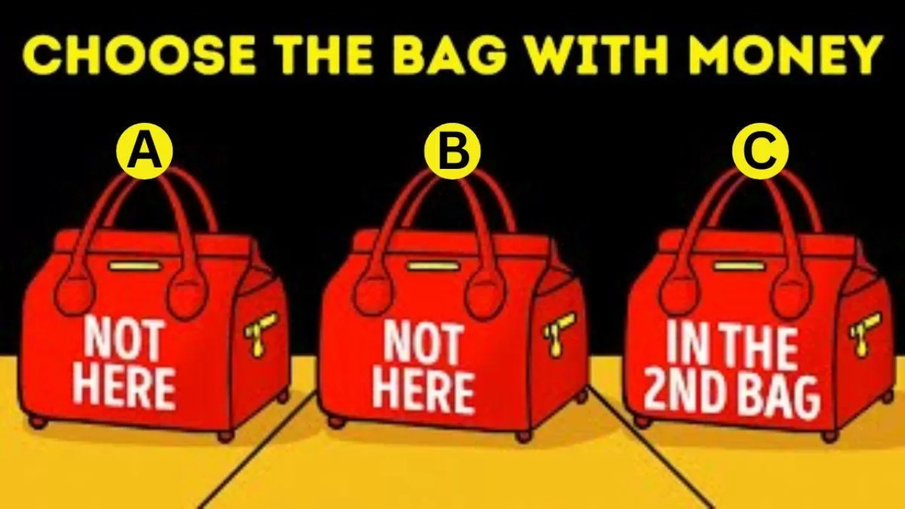 Optical Illusion: Only the smartest person can tell which bag has money