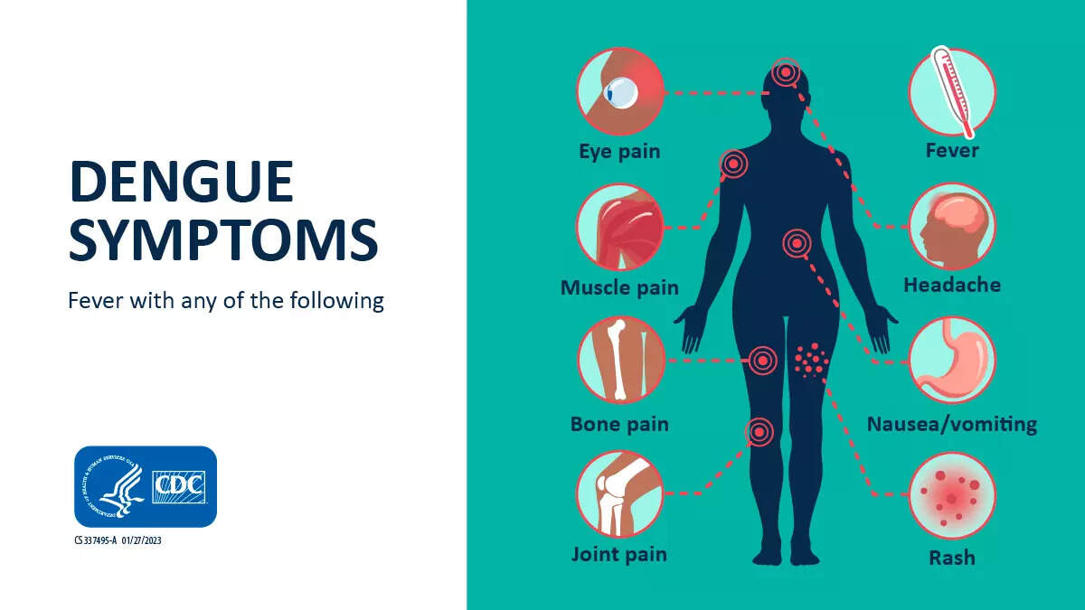 dengue symptom