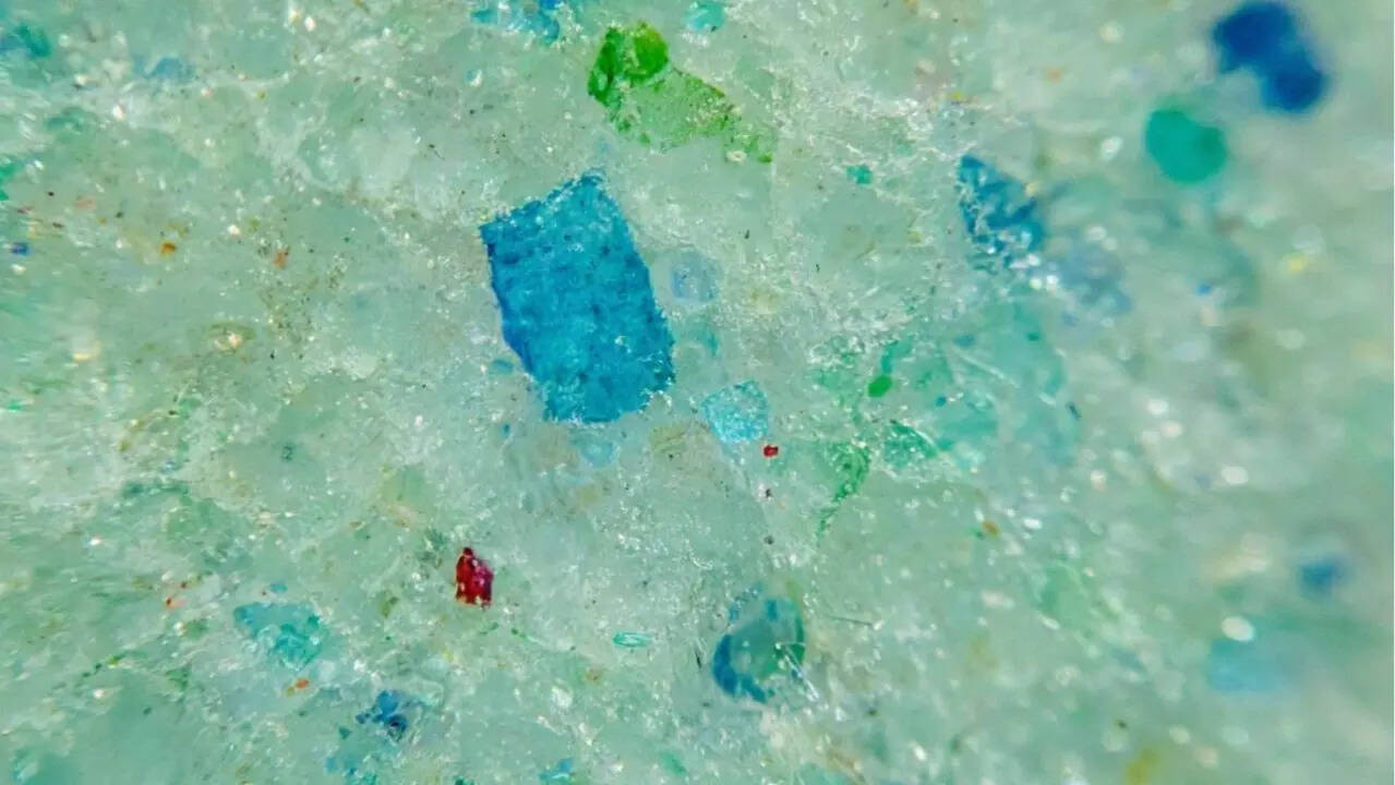microplastics 2