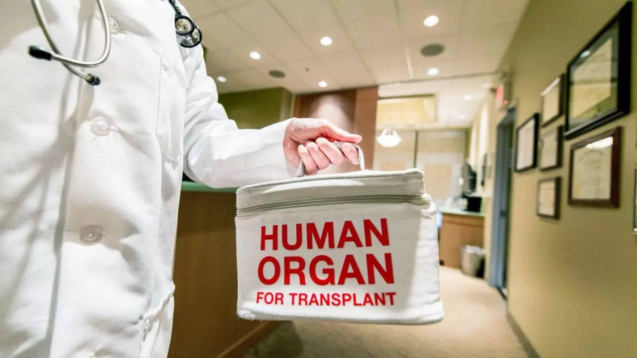 organ donation