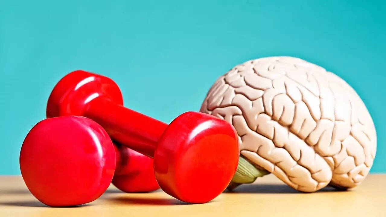 brain exercise
