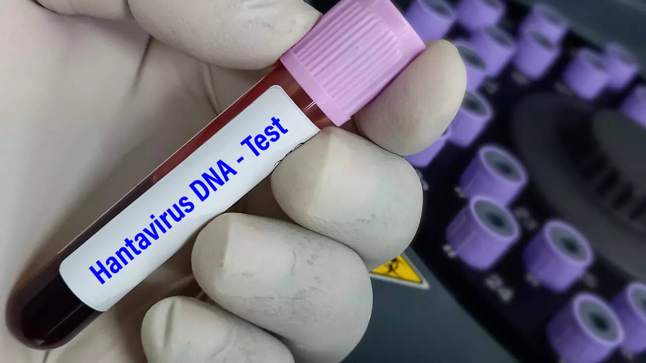 hantavirus