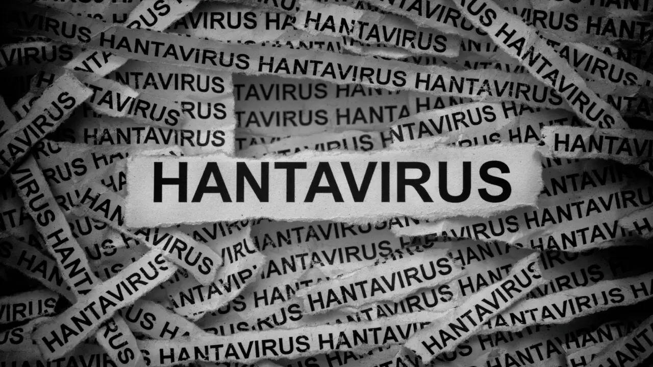 hantavirus