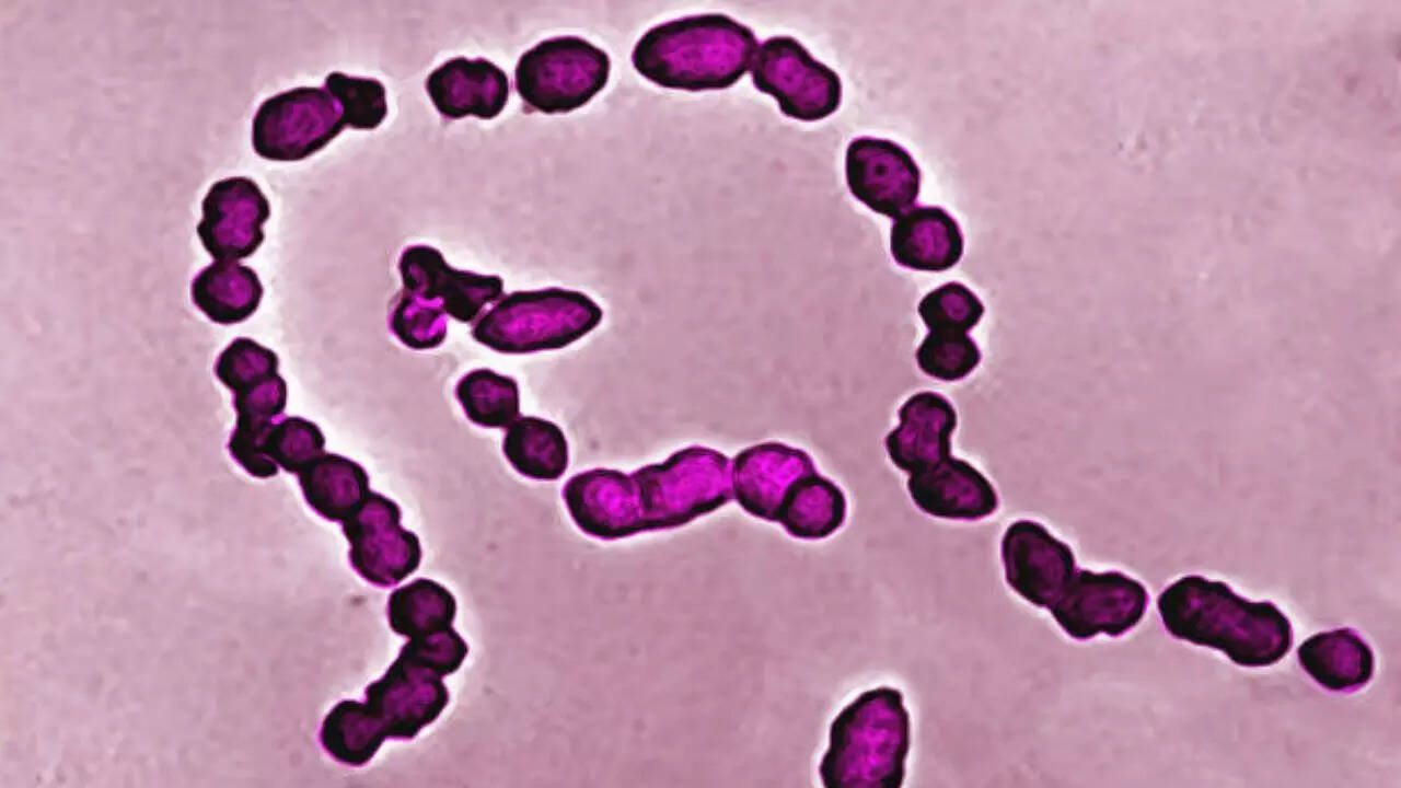 Rapid spread of flesh-eating disease sparks concern in the U.S.