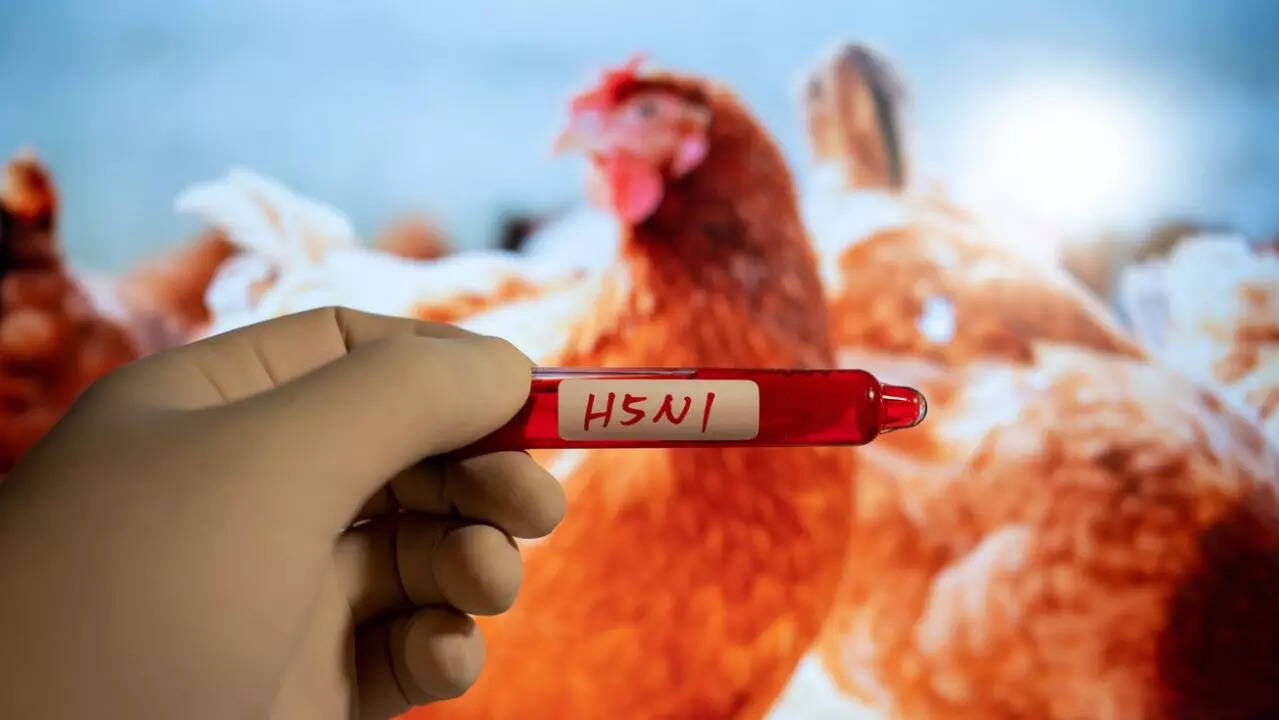 New bird flu variant detected in Nevada dairy cattle, raising concerns of endemic spread