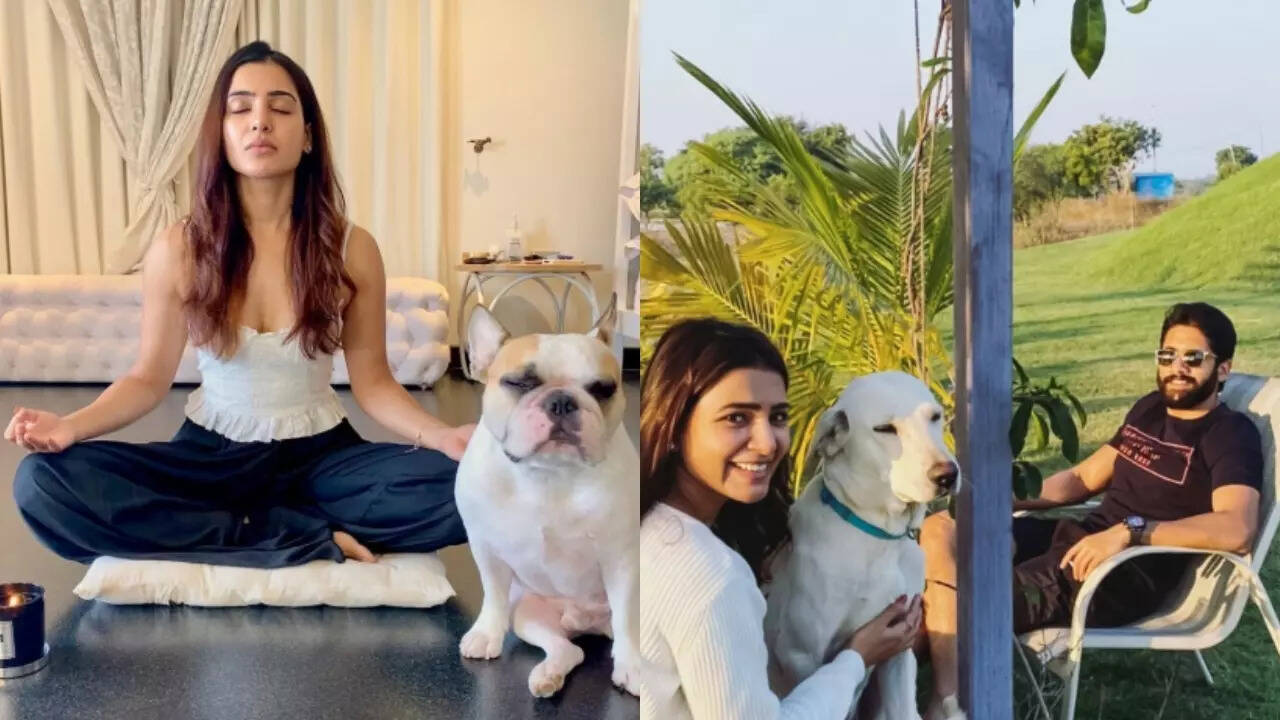 Are Samantha and Naga Chaitanya co-parenting their pet dogs?