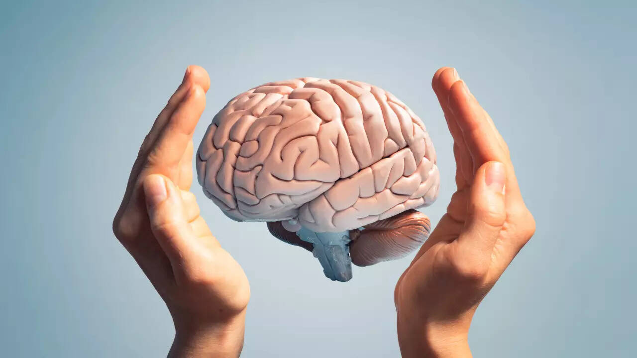 brain