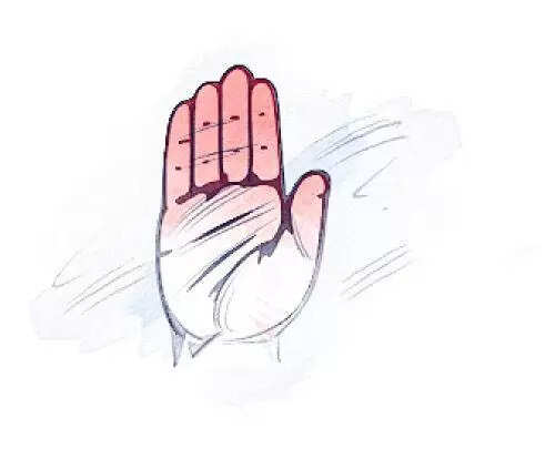 AAP removing names of anti-govt residents from voter list: Cong