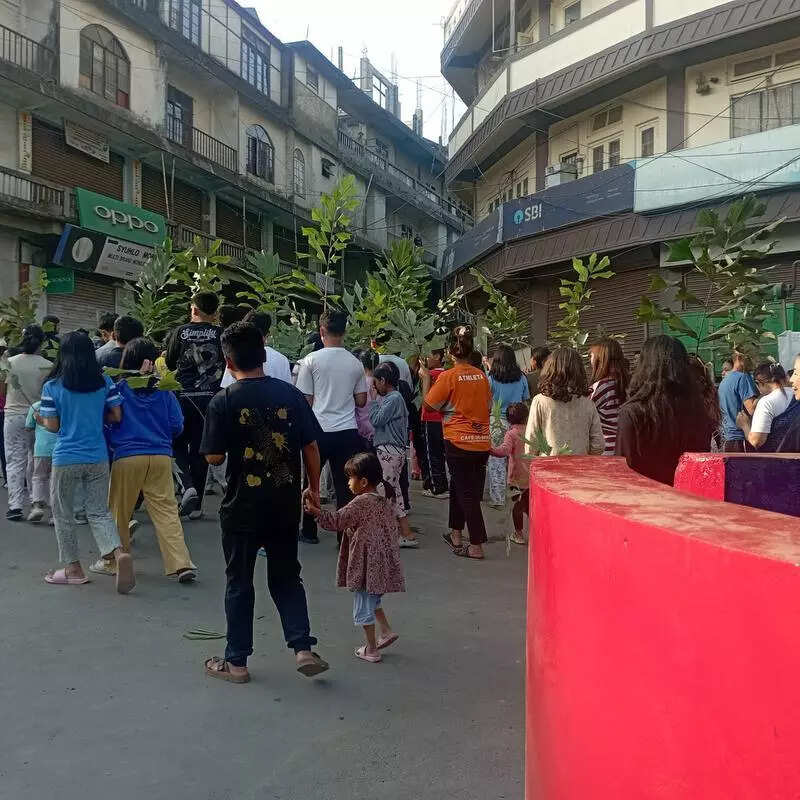 Hosanna! People in Mizoram take to streets chanting & waving palm leaves