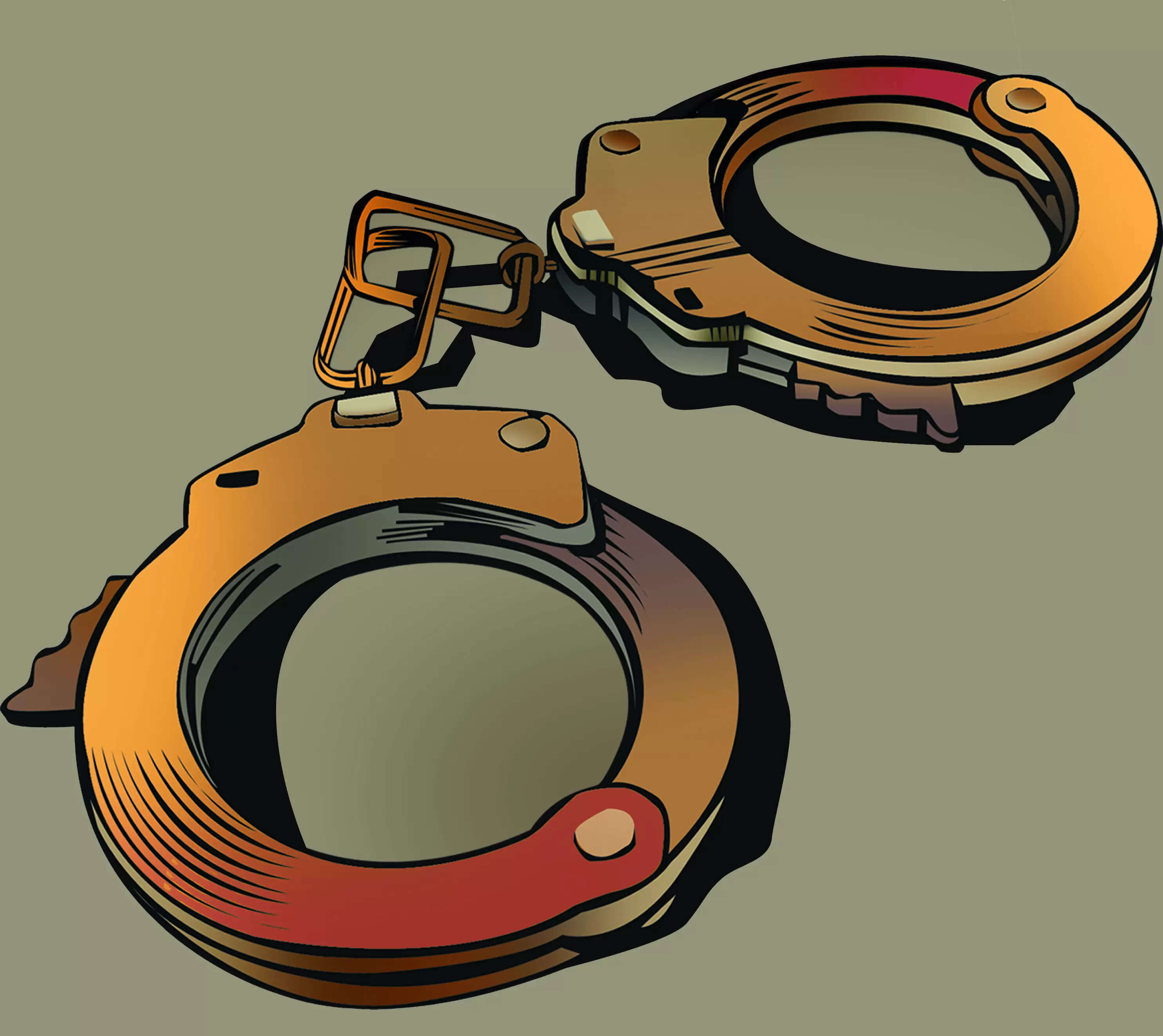 Rs 3.6L Caranzalem theft: Police nab K’taka man