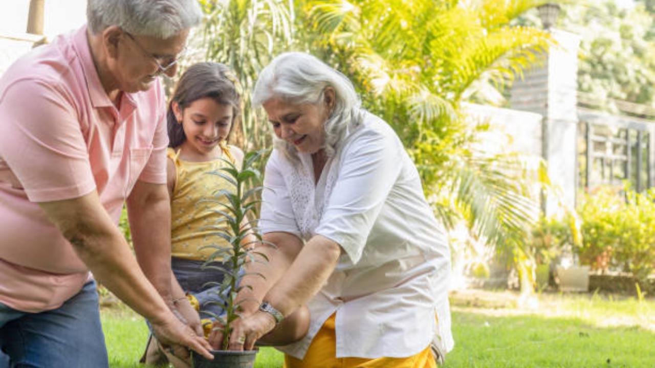 Connections can be created through the practice of gardening