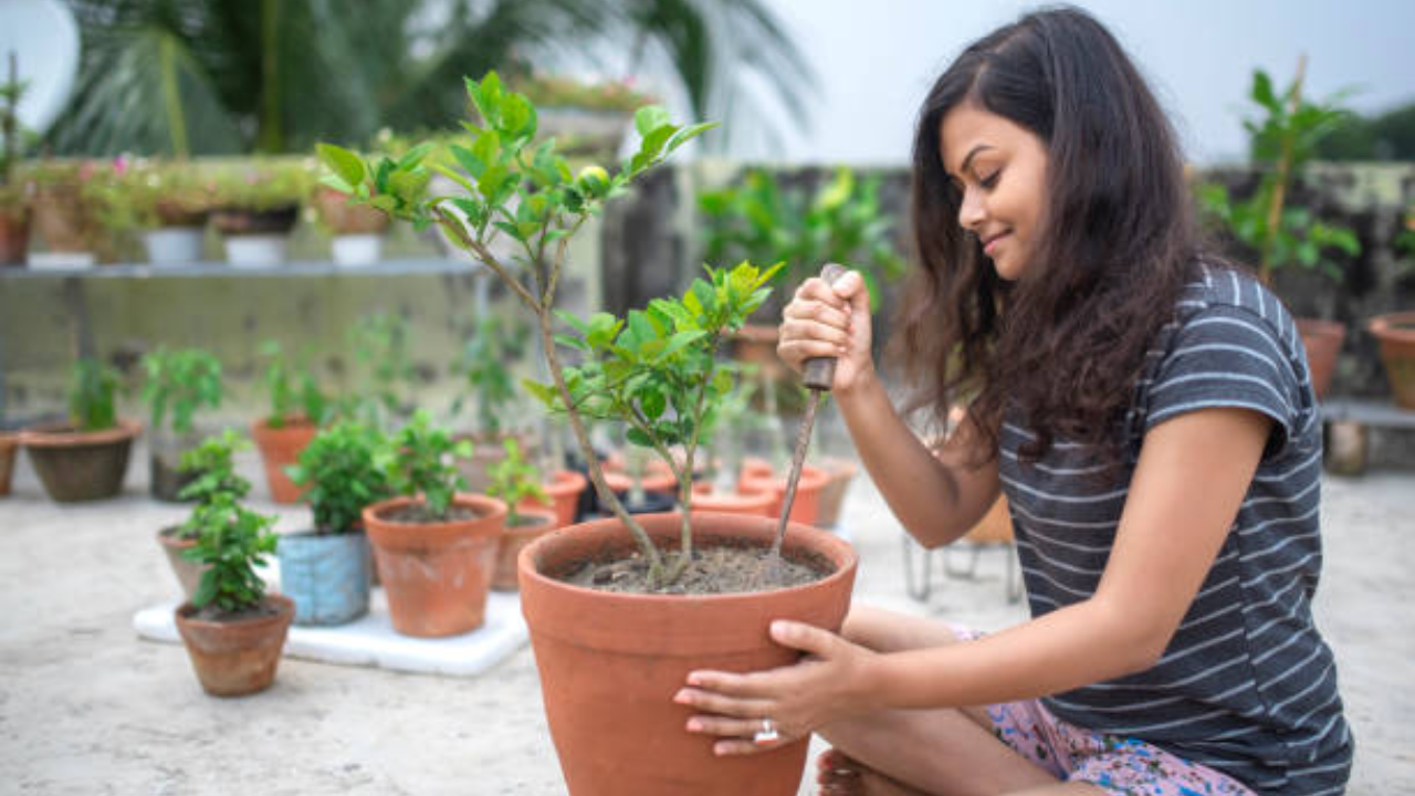 Gardening also improves physical health, which is closely linked to our mental health