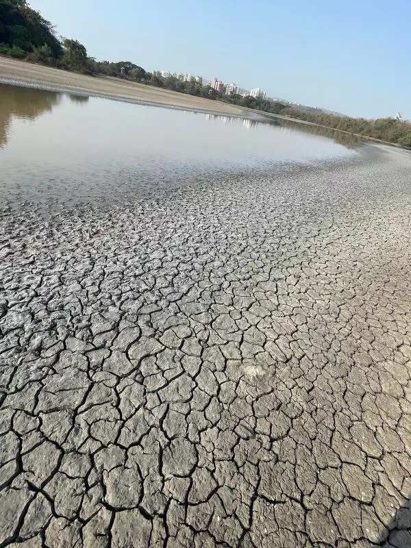 Wind course, dry soil caused 2022 heatwaves: Study