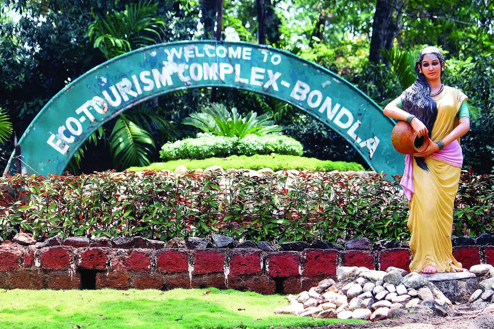 Bondla’s two jungle cats died due to avian influenza: Govt lab report