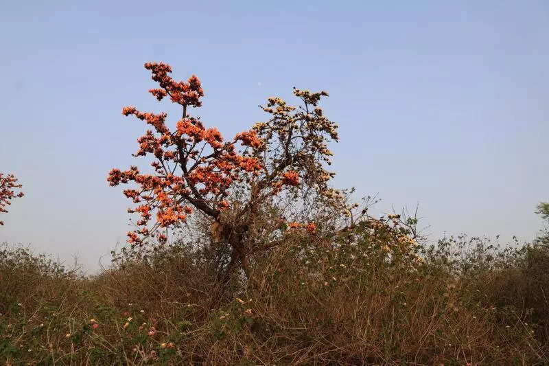 Mercury soars, Gurgaon braces for heatwave till Friday