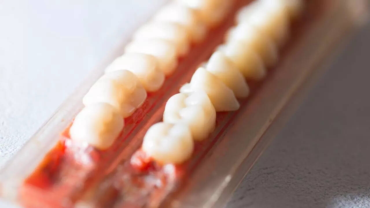 teeth 1