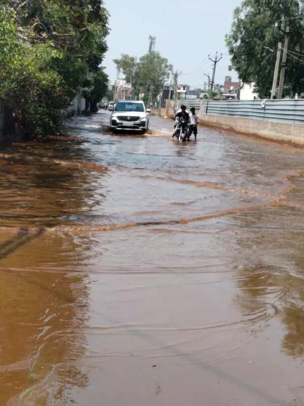 Stagnant water & pollution issues persist on Bhamian Road in Ludhiana