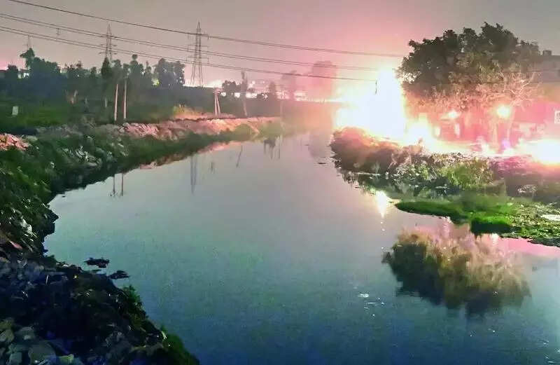 RS member Balbir Singh Seechewal slams officials over Buddha Dariya pollution