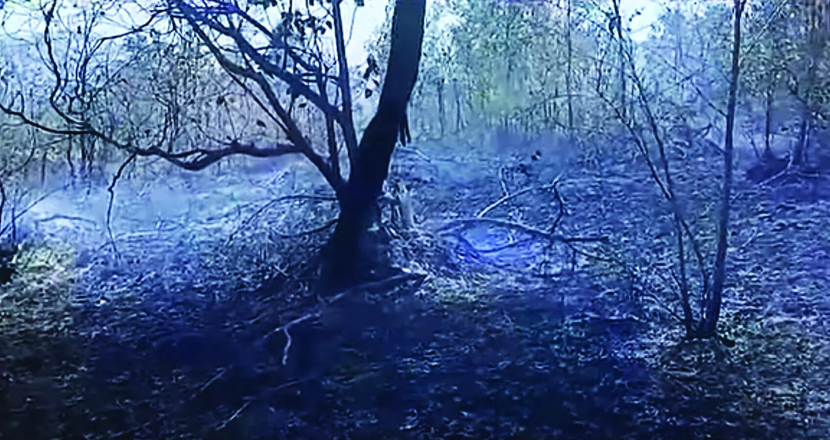 Fire ravages cashew plantations at Malkarnem, farmers demand probe