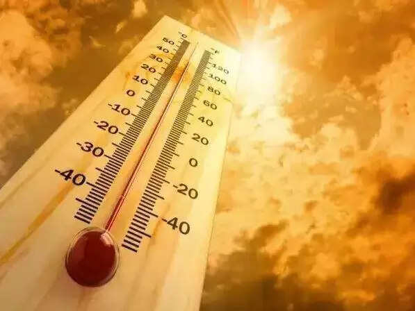 Telangana declares heatwave as state-specific disaster, hikes ex gratia