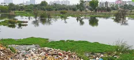 No checks, sewage dumped illegally at vacant plot, toxic pond comes up in Gurgaon