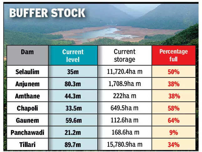As summer peaks, water levels below 40% in majority of reservoirs in Goa