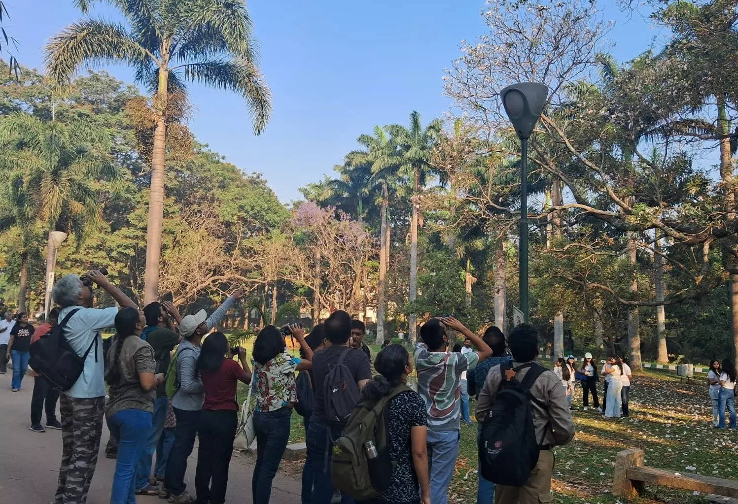Bengaluru’s bird walk is a wake-up call to protect and preserve the birdies