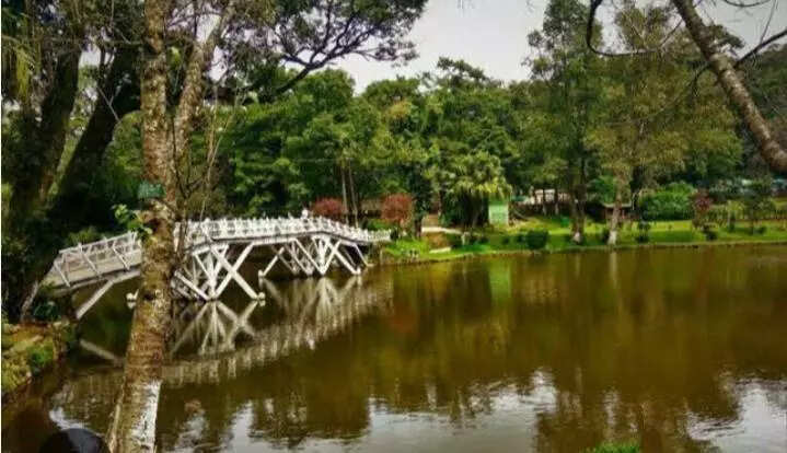 Culinary cascade: A feast of flavours & stories of Meghalaya