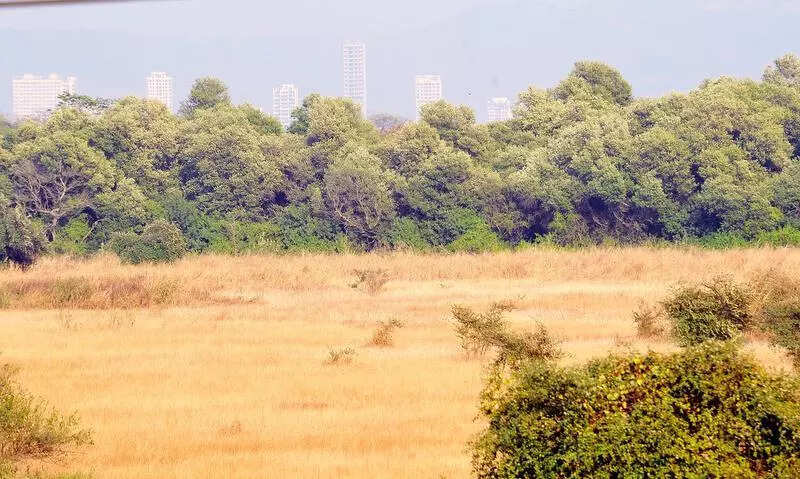 T govt plans IT knowledge hub on 450 acres in Puppalaguda