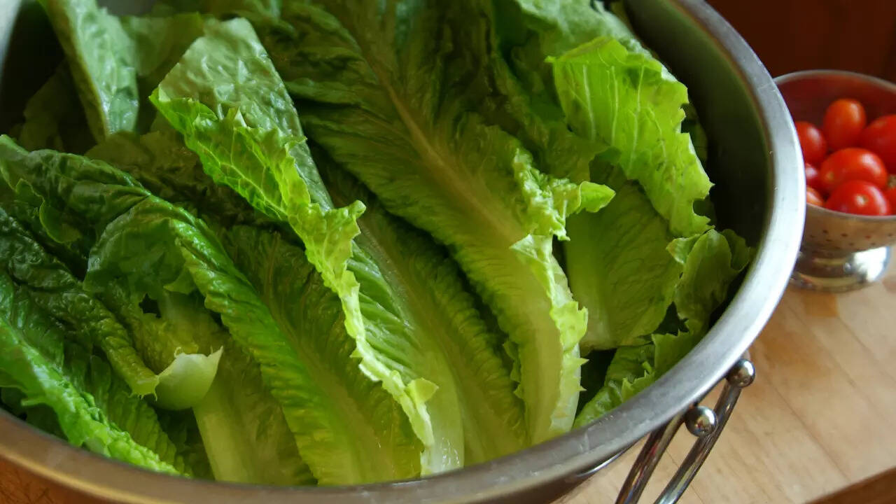 lettuce