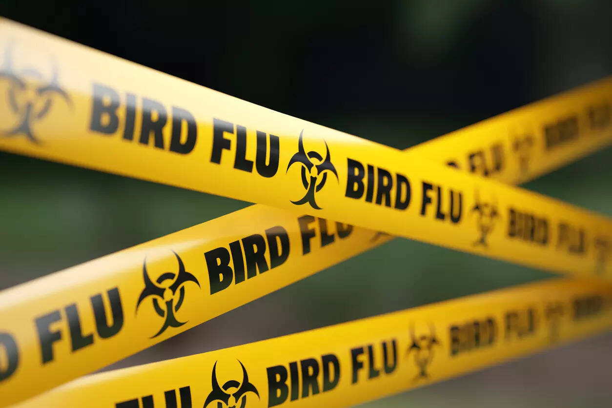 European Commission plans emergency measures to combat bird flu in Poland