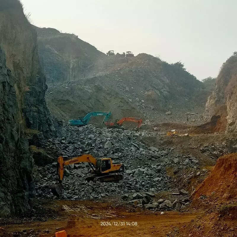 NGT forms panel to probe illegal extraction of stone in Jajpur dist