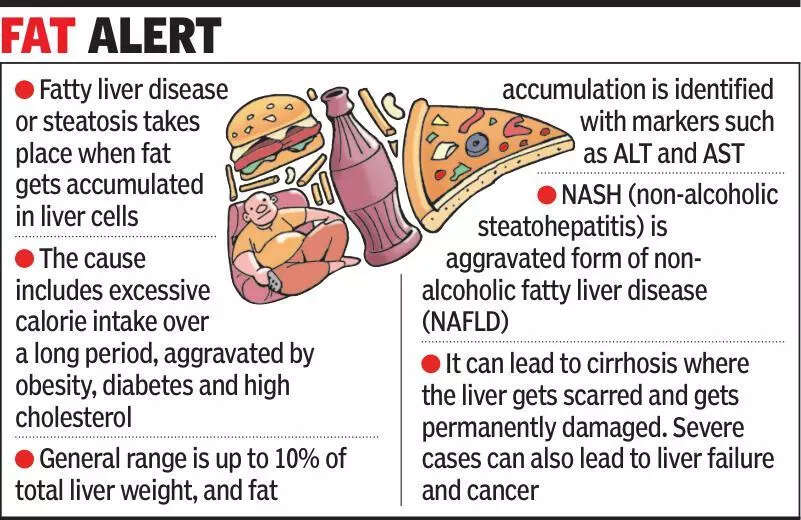 40% of livers in Gujarat over 40 are fatty!